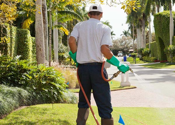 About Paradise Valley AZ Pest Control Pros